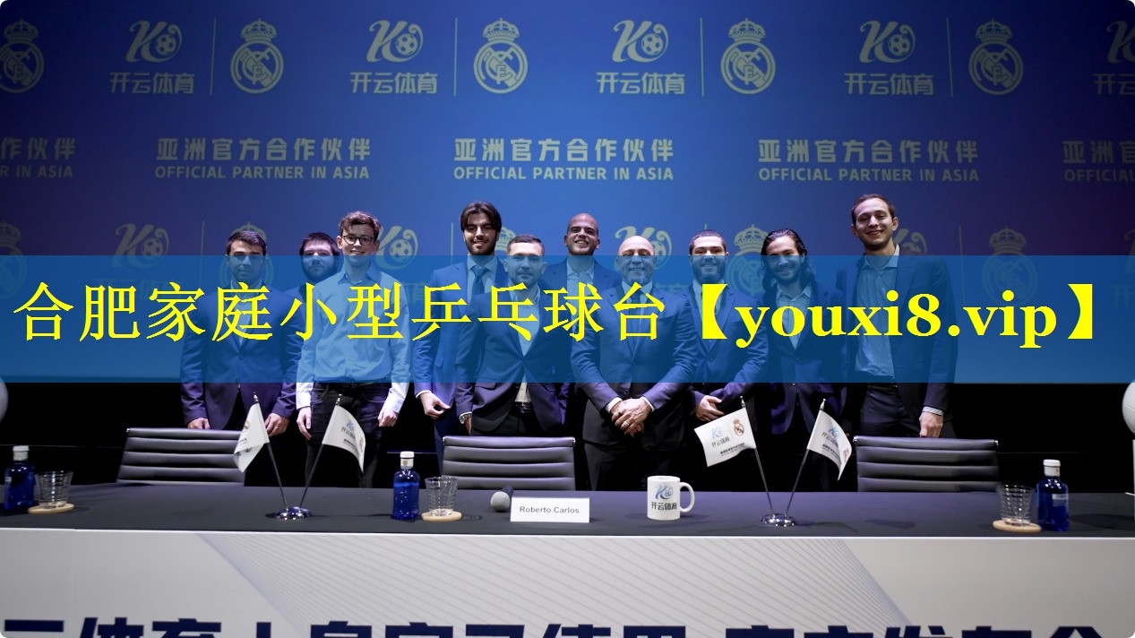 合肥家庭小型乒乓球台