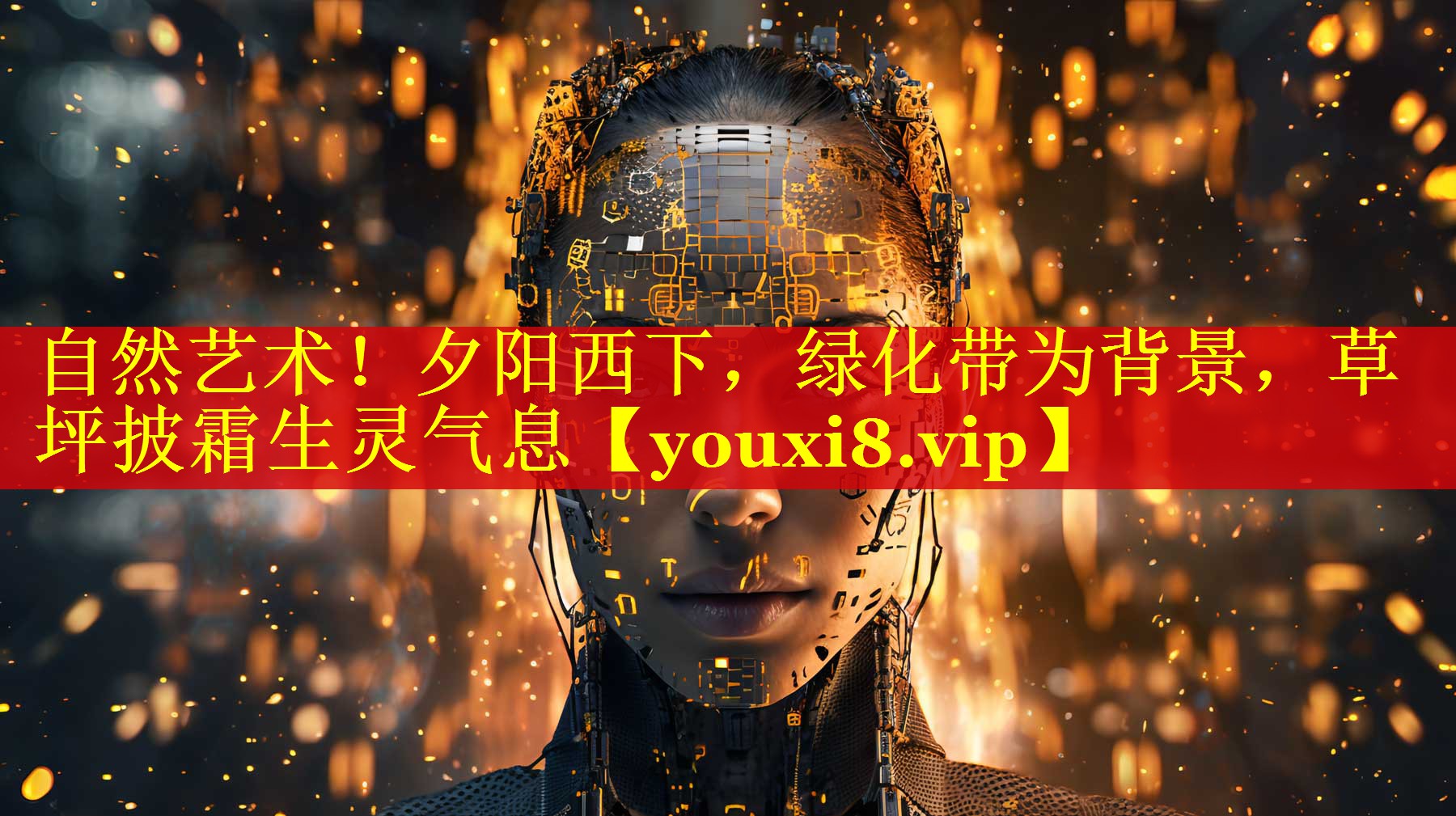 自然艺术！夕阳西下，绿化带为背景，草坪披霜生灵气息