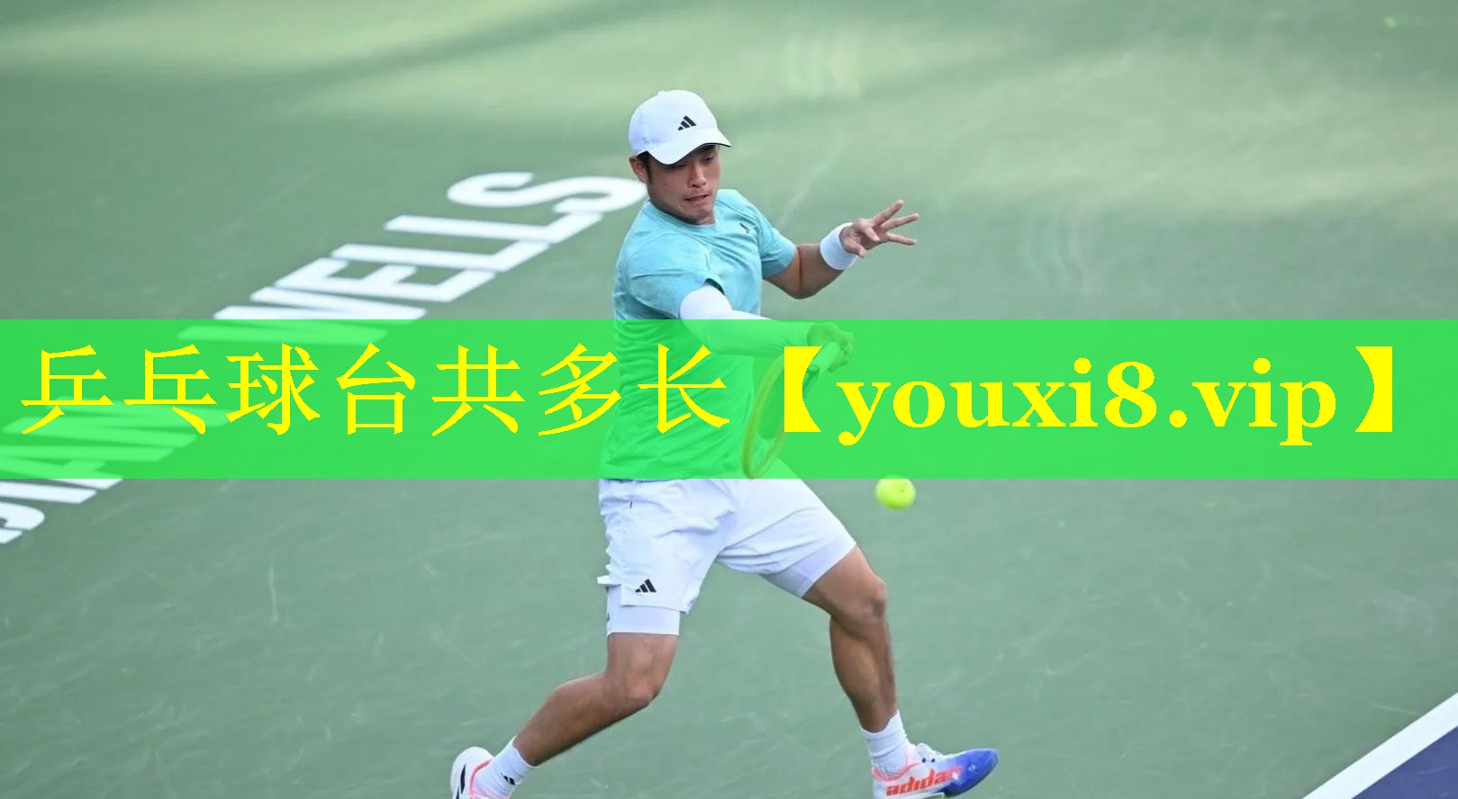 乒乓球台共多长